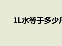 1L水等于多少斤酒（1l水等于多少斤）