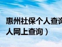 惠州社保个人查询系统在线查询（惠州社保个人网上查询）