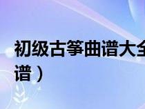 初级古筝曲谱大全流行曲谱（初级古筝练习曲谱）