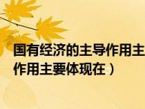 国有经济的主导作用主要体现在哪些方面（国有经济的主导作用主要体现在）