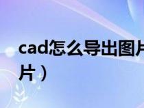 cad怎么导出图片高清尺寸（cad怎么导出图片）