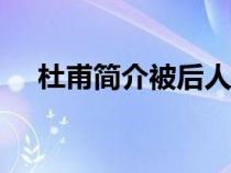 杜甫简介被后人称为（杜甫简介100字）