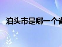 泊头市是哪一个省的（泊头市属于哪个省）