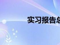 实习报告总结（实习月报告）