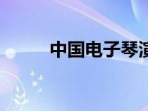 中国电子琴演奏家（中国电子琴）