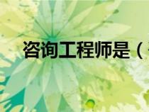 咨询工程师是（咨询工程师什么单位用）