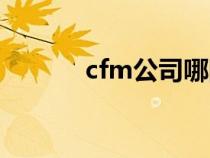 cfm公司哪国公司（cfm公司）