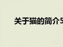 关于猫的简介500字（关于猫的简介）