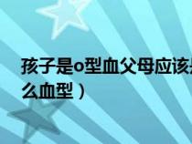 孩子是o型血父母应该是什么血（ab型和b型生的孩子是什么血型）