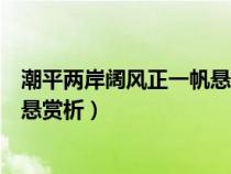 潮平两岸阔风正一帆悬的分析和理解（潮平两岸阔风正一帆悬赏析）