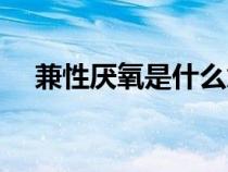 兼性厌氧是什么意思（厌氧是什么意思）