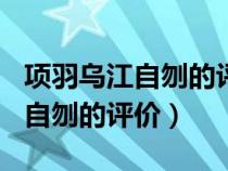 项羽乌江自刎的评价作文500字（对项羽乌江自刎的评价）