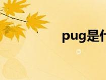 pug是什么意思（pug）