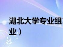 湖北大学专业组17是什么专业（湖北大学专业）