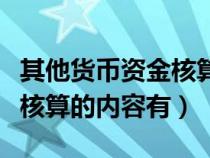 其他货币资金核算内容有什么（其他货币资金核算的内容有）