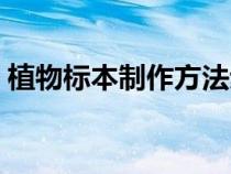 植物标本制作方法步骤（植物标本制作方法）