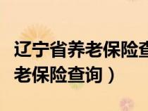 辽宁省养老保险查询个人账户查询（辽宁省养老保险查询）