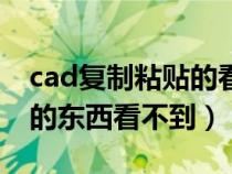 cad复制粘贴的看不见是怎么回事（cad复制的东西看不到）