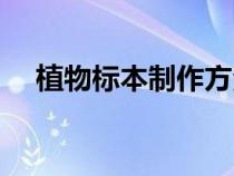 植物标本制作方法步骤（植物标本制作）