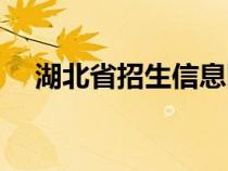 湖北省招生信息网官网（湖北省招生办）