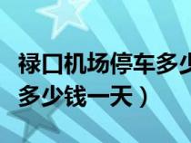 禄口机场停车多少钱一个小时（禄口机场停车多少钱一天）