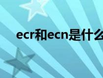 ecr和ecn是什么意思（ecn是什么意思）