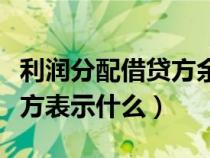 利润分配借贷方余额表示什么（利润分配借贷方表示什么）