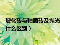 玻化砖与釉面砖及抛光砖的价格区别（玻化砖釉面砖瓷砖有什么区别）