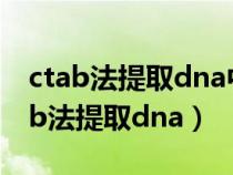 ctab法提取dna中氯仿和异戊醇的作用（ctab法提取dna）