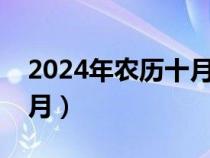 2024年农历十月是什么月（农历十月是什么月）