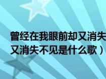 曾经在我眼前却又消失不见女生唱的版本（曾经在我眼前却又消失不见是什么歌）