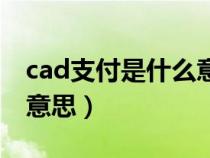 cad支付是什么意思啊（cad付款方式是什么意思）