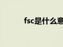 fsc是什么意思（fs是什么意思）