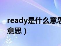 ready是什么意思汽车仪表盘（ready是什么意思）