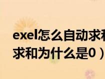 exel怎么自动求和为什么是0.00（excel自动求和为什么是0）