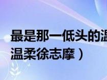 最是那一低头的温柔下一句（最是那一低头的温柔徐志摩）