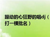 躁动的心狂野的唱dj（我动di动地动山摇我色di射激情四射打一横批名）