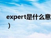 expert是什么意思英语（expert是什么意思）