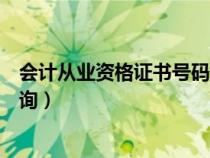 会计从业资格证书号码查询（全国会计从业资格证书编号查询）