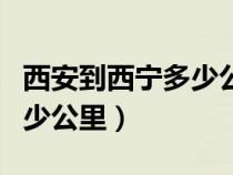 西安到西宁多少公里高速公路（西安到西宁多少公里）