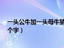 一头公牛加一头母牛猜三个字?（一头公牛加一头母牛猜三个字）