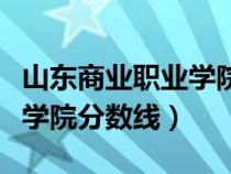 山东商业职业学院录取线（山东商业职业技术学院分数线）