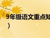 9年级语文重点知识（九年级语文复习知识点）