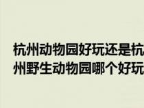 杭州动物园好玩还是杭州野生动物园好玩（杭州动物园和杭州野生动物园哪个好玩）