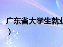 广东省大学生就业网（广东省大学生就业在线）