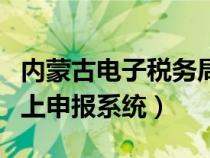 内蒙古电子税务局网站（内蒙古电子税务局网上申报系统）