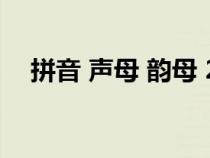 拼音 声母 韵母 26个表（拼音整体认读）