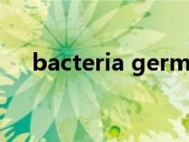 bacteria germ virus区别（bacteria）