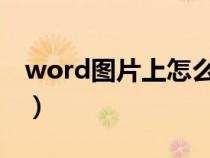 word图片上怎么加文字（图片上怎么加文字）