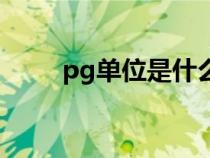 pg单位是什么单位换算（pg单位）